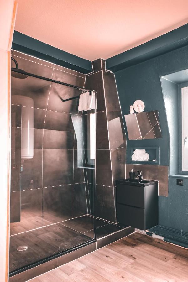 Grand Appartement 뮐루즈 외부 사진